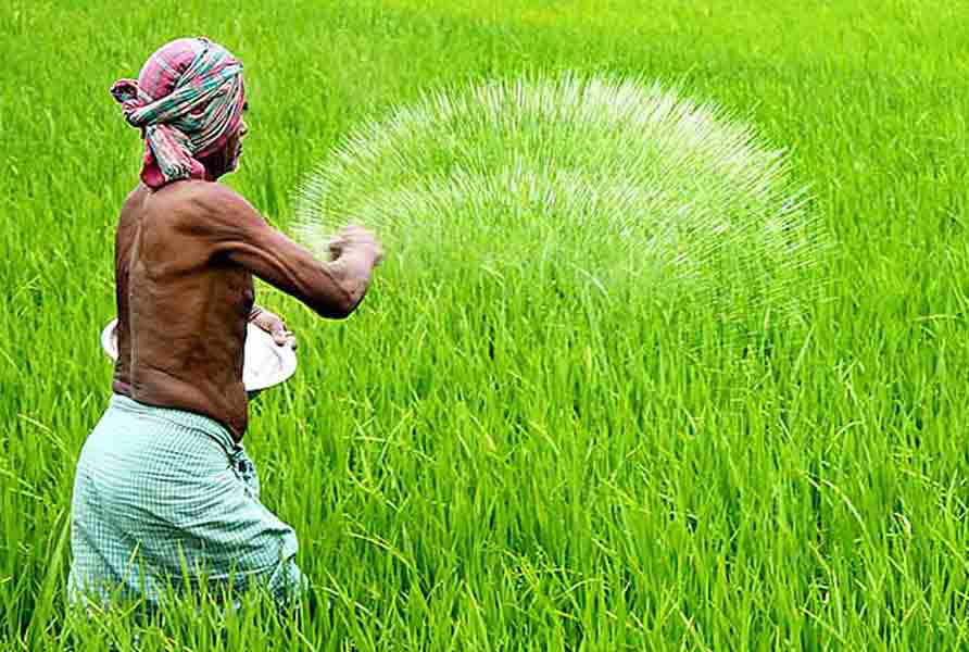 ধোবাউড়ায় অতিরিক্ত দামে সার বিক্রি; বিপাকে কৃষকরা
