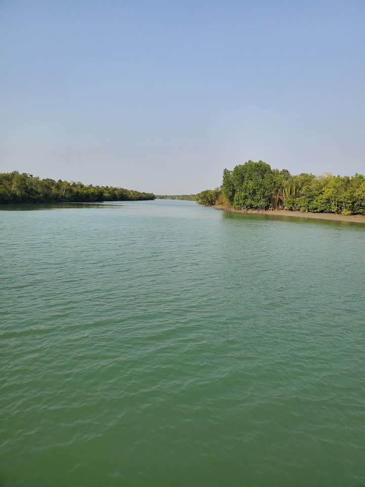 সুন্দরবনে রেড অ্যালার্ট জারি, সীমিত করা হয়েছে বনরক্ষীদের ছুটি