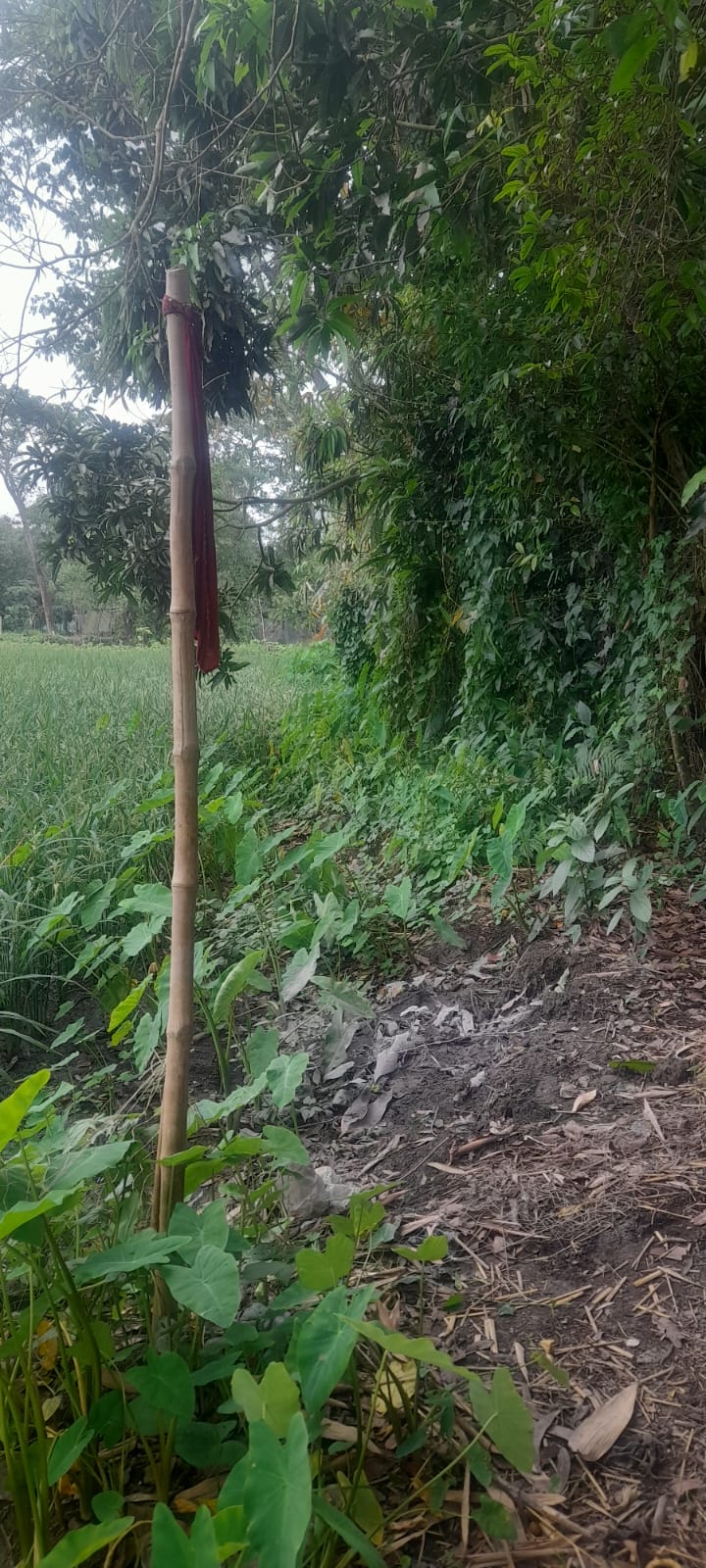 সরকারি হালট উদ্ধার করে প্রকল্প বাস্তবায়নের দাবিতে এলাকাবাসীর গণস্বাক্ষরিত অভিযোগ