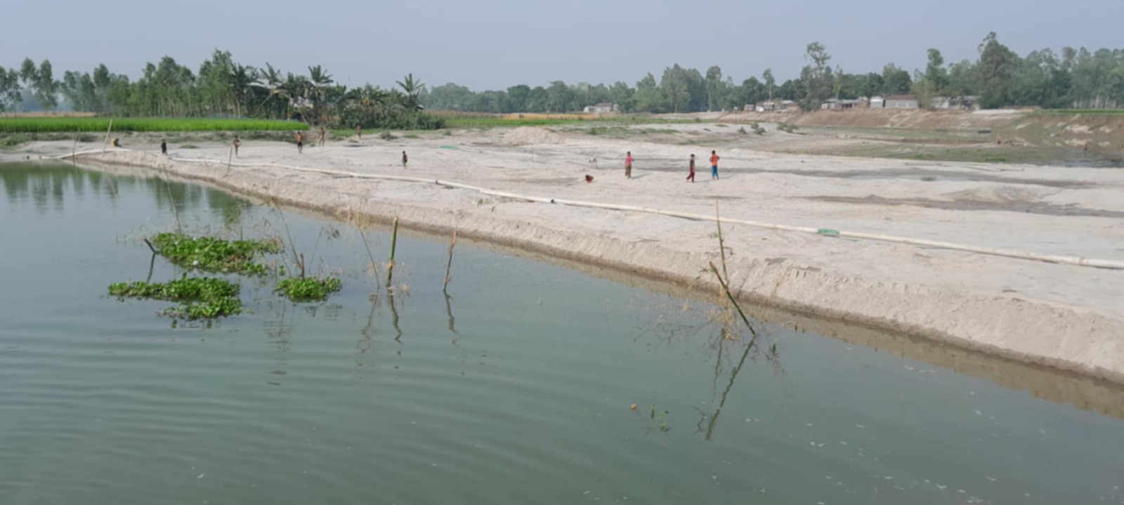বকশীগঞ্জে দশানী নদীতে জোড়া বাঁধ নির্মাণে তলিয়ে গেছে ধান ক্ষেত