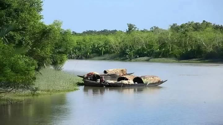 সুন্দরবনের জীব বৈচিত্র্য মারাত্মক হুমকির মুখে। বিভিন্ন খালে বিষ প্রয়োগের মাধ্যমে চলছে মাছ শিকার