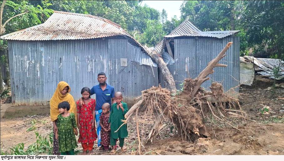 দুর্গাপুরে সরকারি গাছ পড়ে কৃষক সুমনের ব্যপক ক্ষয়ক্ষতি