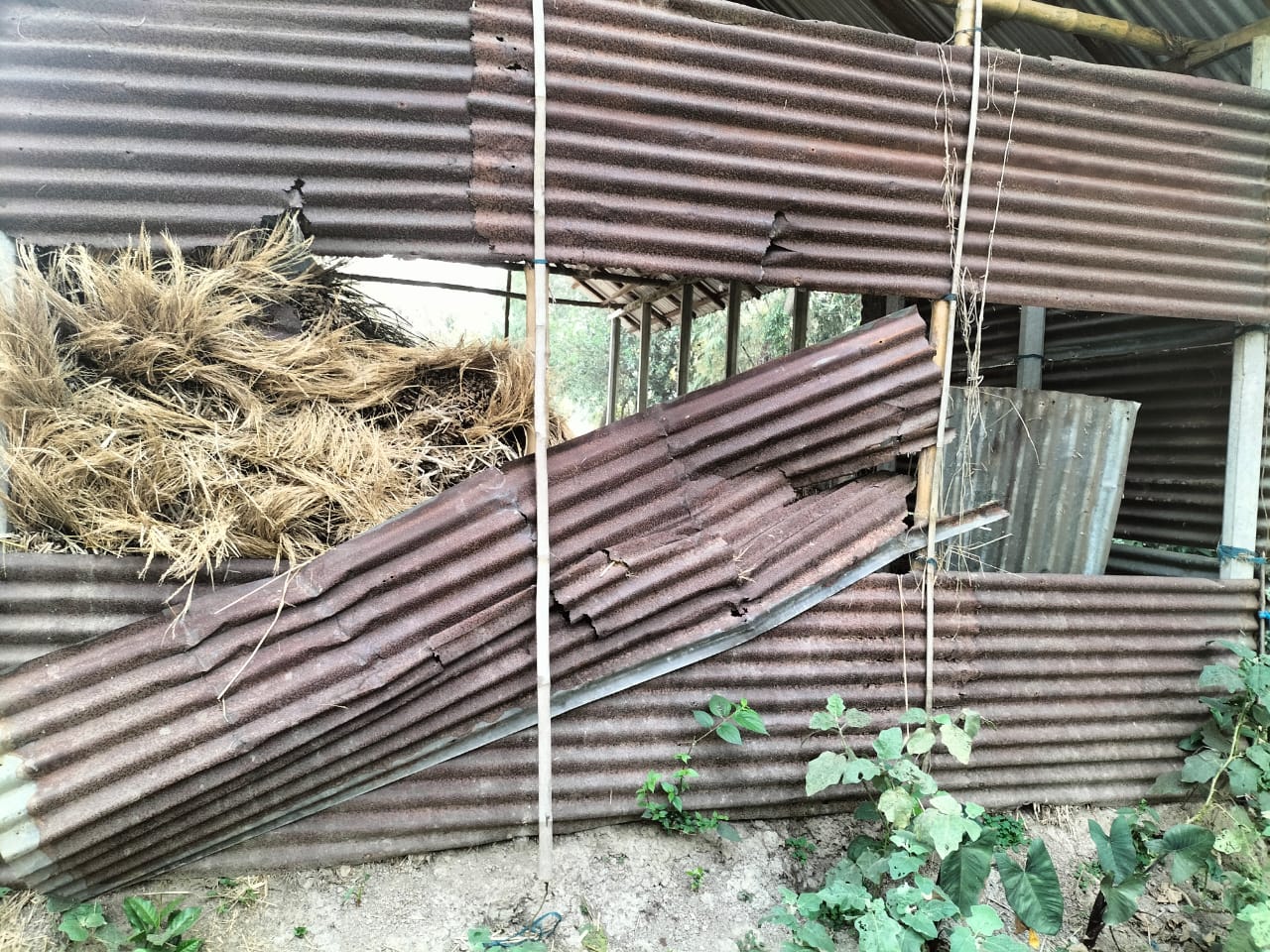 তারাকান্দায় জমি সংক্রান্ত জেরে বাড়ি-ঘর ভাঙচুর, ৩ নারী আহত
