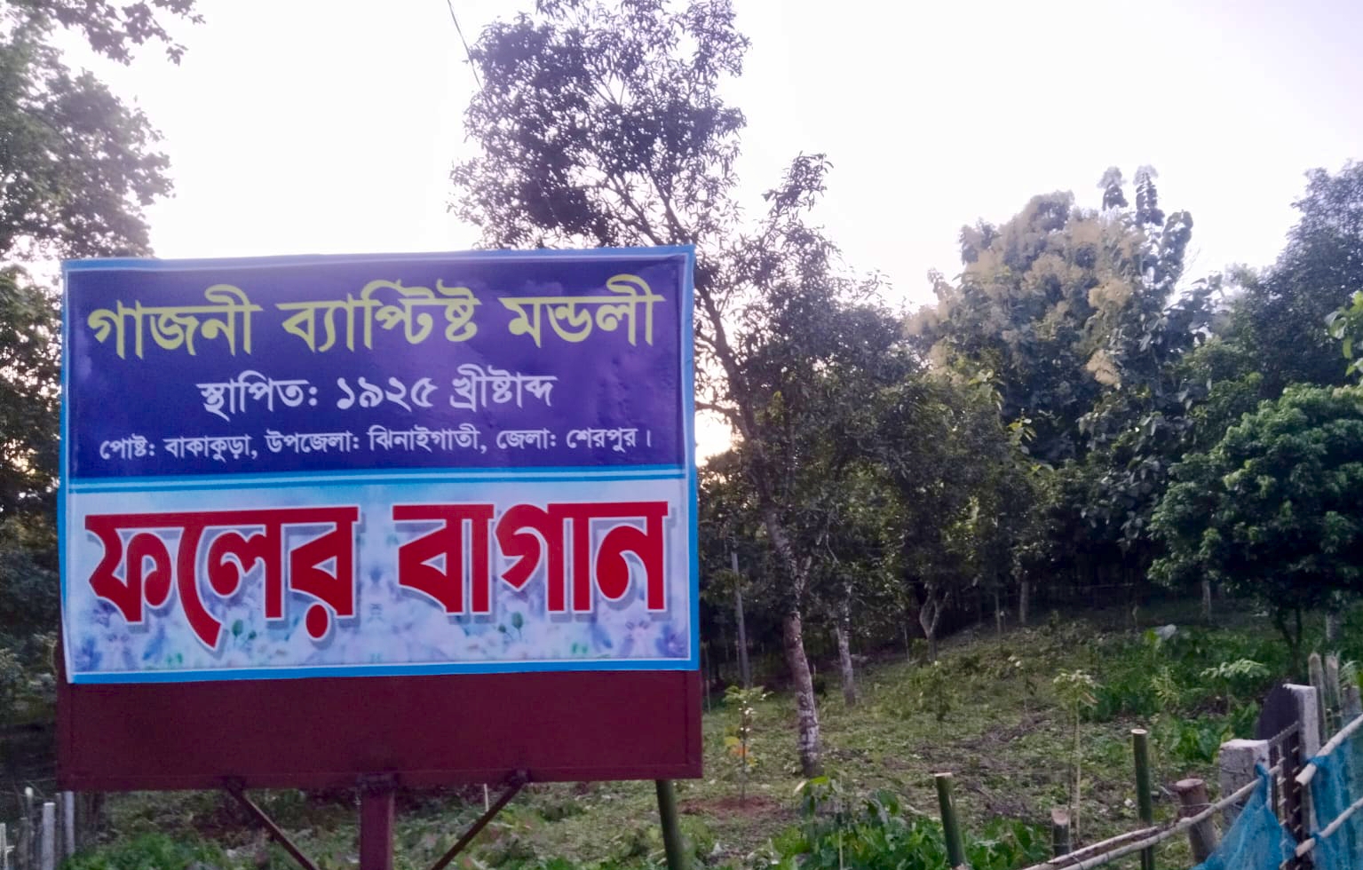 ঝিনাইগাতীতে ব্যাপটিস চার্চের সাইনবোর্ড টাঙিয়ে বনভূমি জবরদখল, বৃক্ষরোপণে বাধা