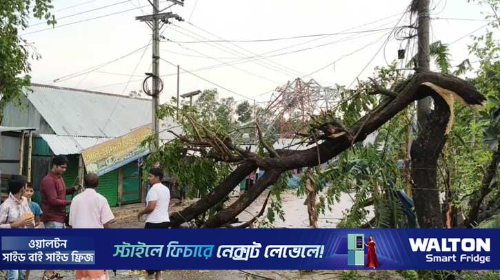 ব্রাহ্মণবাড়িয়ায় কালবৈশাখী ঝড়, ক্ষয়ক্ষতি