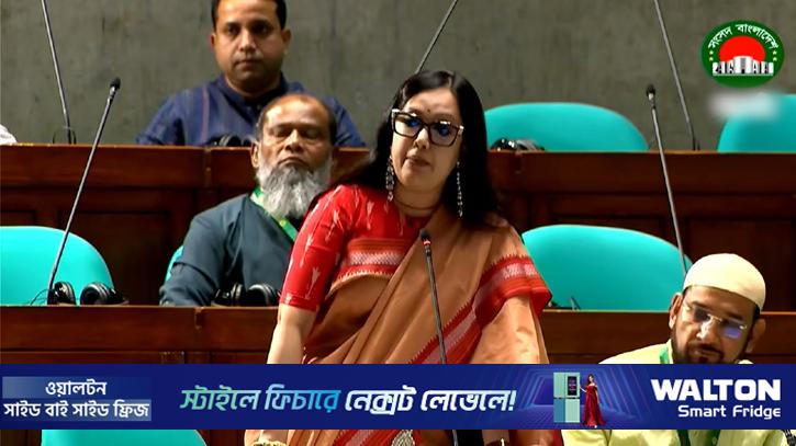 স্বরাষ্ট্রমন্ত্রীর আশ্বাসের পরেও দেশে মবের ঘটনা ঘটেই চলেছে: রুমিন ফারহানা